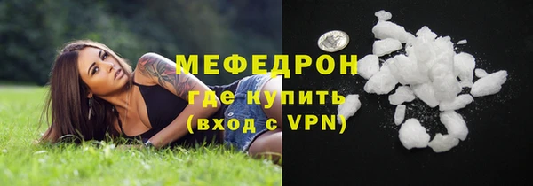 МДПВ Ельня