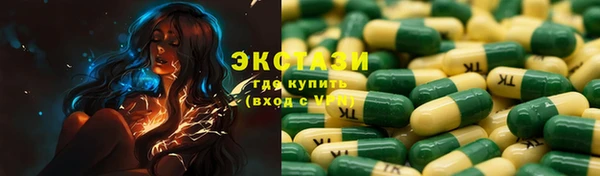 МДПВ Ельня