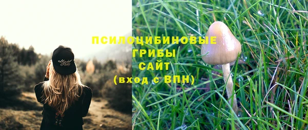 скорость Елабуга