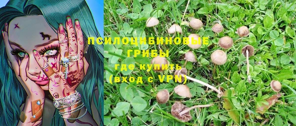МДПВ Ельня
