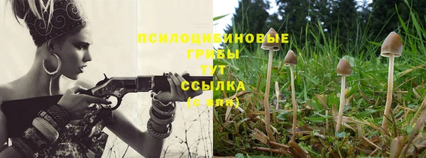скорость Елабуга