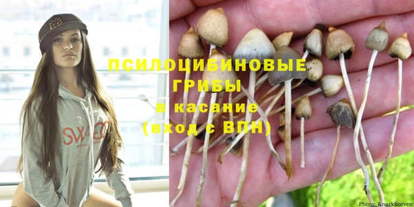 МДПВ Ельня