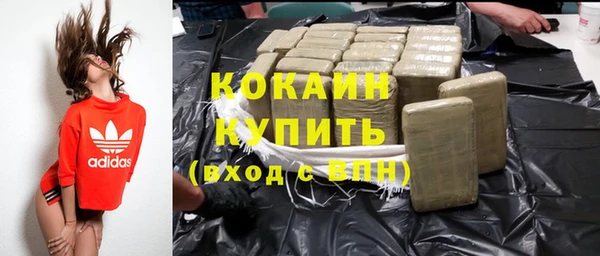 МДПВ Ельня