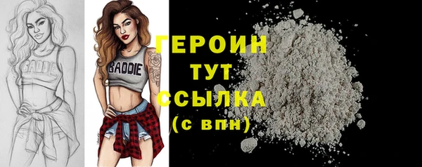 МДПВ Ельня
