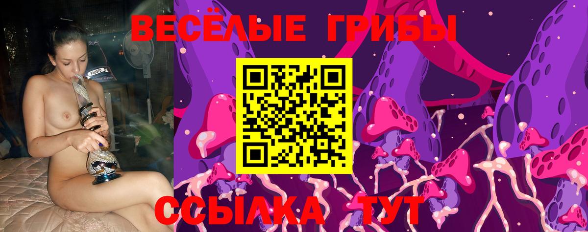 Галлюциногенные грибы мицелий Унеча