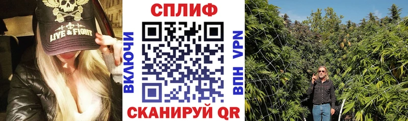 купить наркоту  Унеча  MEGA зеркало  Бошки Шишки Bruce Banner 