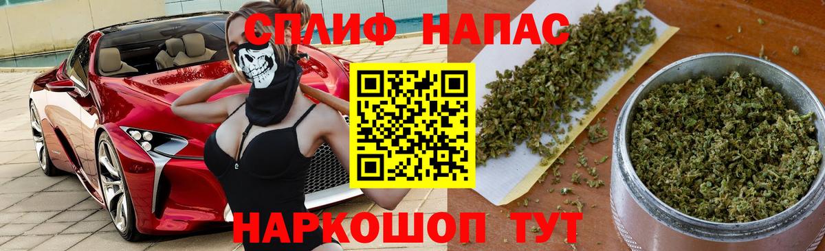 Унеча  Марихуана сатива  Вход с VPN  МАРИХУАНА планчик 
